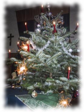 Unser Weihnachtsbaum auf der Bude