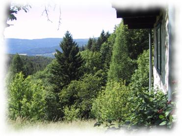 Aussicht in die gr&uuml;ne Umgebung