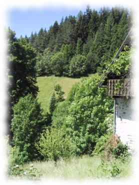 Aussicht in die gr&uuml;ne Umgebung
