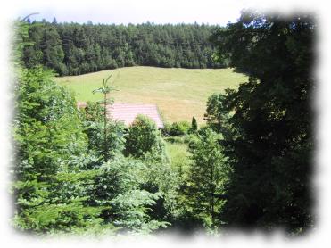 Aussicht in die gr&uuml;ne Umgebung