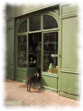 Hund vor Trödlerladen in Saintes