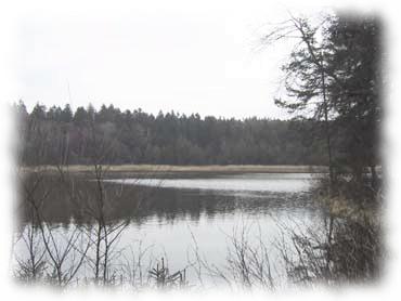 Blick über den Haslauerteich