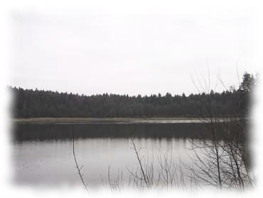 Blick über den Haslauerteich