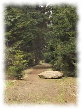 Stein auf dem Waldweg