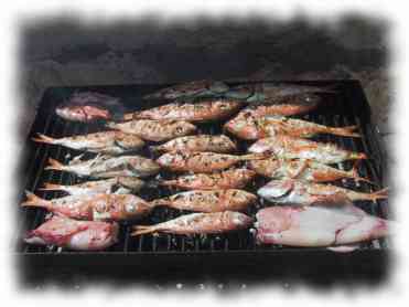 Onkel Tomislavs Fische am Grill