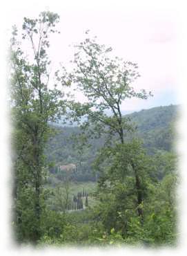 Toskanische Landschaft im Chiantigebiet toskanische Landschaft