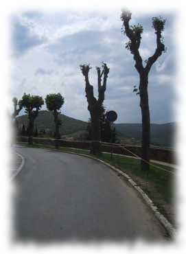 Blick von außerhalb der Stadtmauern Raddas auf die toskanische Landschaft im Chiantigebiet Blick von Radda auf die toskanische Landschaft