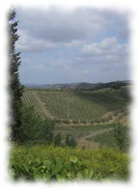 Toskanische Landschaft im Elsa-Tal Landschaft im Elsa-Tal