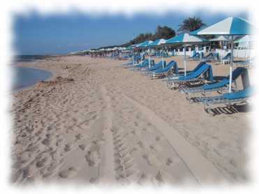 Menschenleerer Sandstrand mit Liegestühlen und Sonnenschirmen