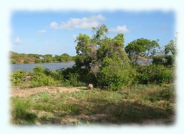 Der Salzsee hinter dem Strand von Saline Bay