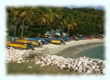 Strand von Mustique bei Basils Bar