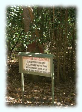 Warnschild vor dem Manchineel Tree