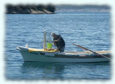 Onkel Zvonko überprüft die Reusen auf gefangene Fische