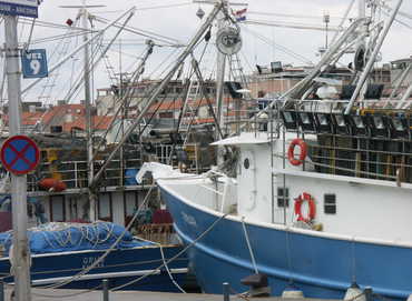 Fischerboote im Hafen von Zadar
