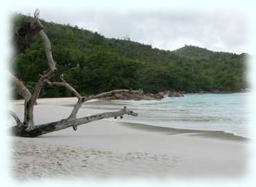 Der Strand der Anse Lazio