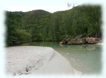 Brackwasser hinter dem Strand der Anse Lazio