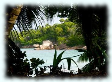 Blick durch die Flora auf das Wasser in der Anse Lazio