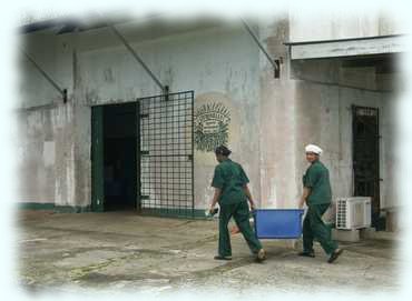 2 Arbeiterinn bringen die Tee-Ernte in die Teefabrik