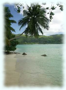 kleiner Stand in der Anse Louis im Hintergrund die Anse a la Mouche