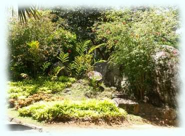 Die Vegetation im Botanischen Garten