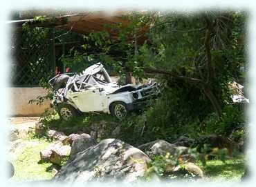 Autowrack im Botanischen Garten