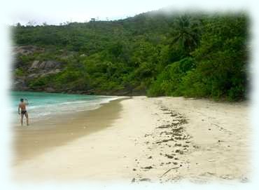 Der nördliche Strandabschnitt der Anse au Riz mit Tom