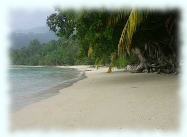 Der Strand der Bucht Anse á la Mouche