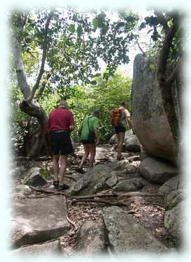 Der Wanderweg von der Baie de La Raie zur Anse San José zwischen Felsen und Regenwald