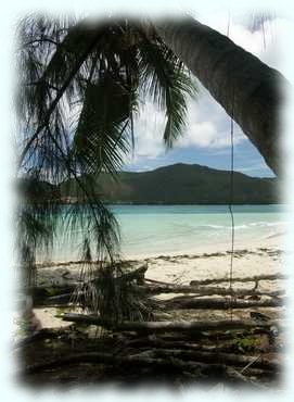 Der Strand von Anse San José, im Hintergrund Praslin