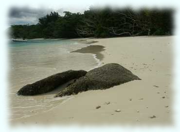 Der Sandstrand von Anse San José