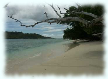 Der Sandstrand von Anse San José