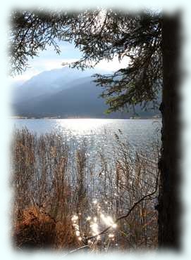 Blick über den Weissensee