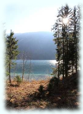 Blick über den Weissensee