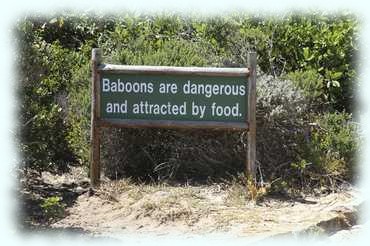 Warntafel wegen der Paviane: Paviane sind gefährlich und werden durch Speisen angelockt