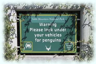 Hinweistafel am Parkplatz: Warnung - bitte beachten sie die Pinguine unter ihrem Auto