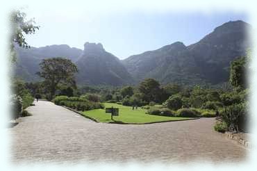 Blick auf den parkähnlichen Teil von Kirstenbosch mit dem Tafelberg im Hintergrund