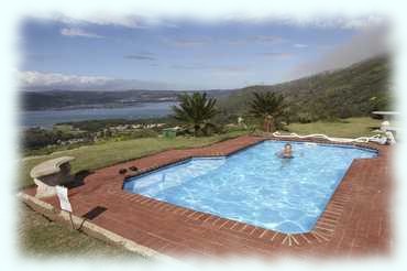 Attila im Pool des Brenton Hill Guest House mit der Lagune im Hintergrund