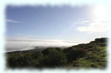 Blick vom Hügel Brenton Hill auf Buffels Bay und der Nebelsuppe