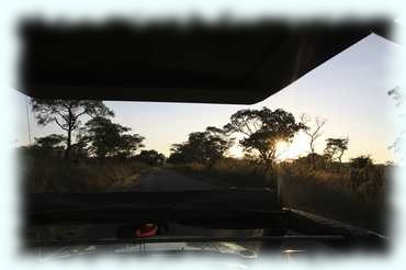 Sonnenaufgang im Kruger Nationalpark