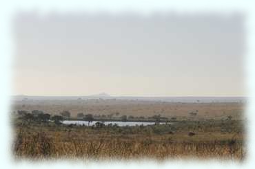 Blick über die Ebene des Kruger Nationalparks