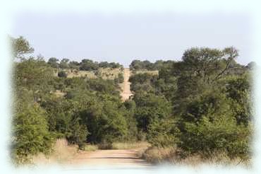 Blick auf die Sandstraßen im Kruger Nationalpark vor uns