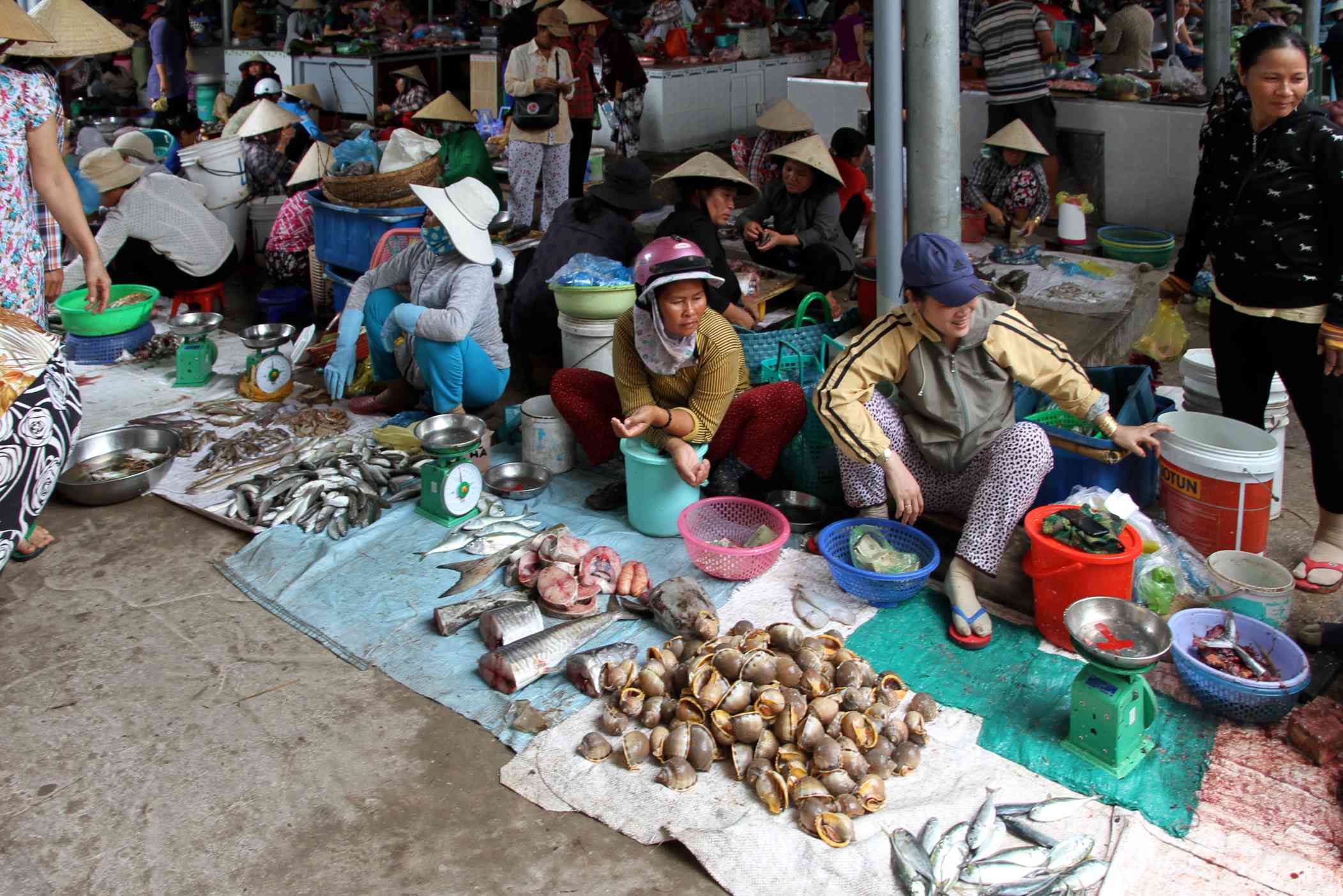 Fische und Meeresfrüchteverkauf in der Markthalle von Mũi Né