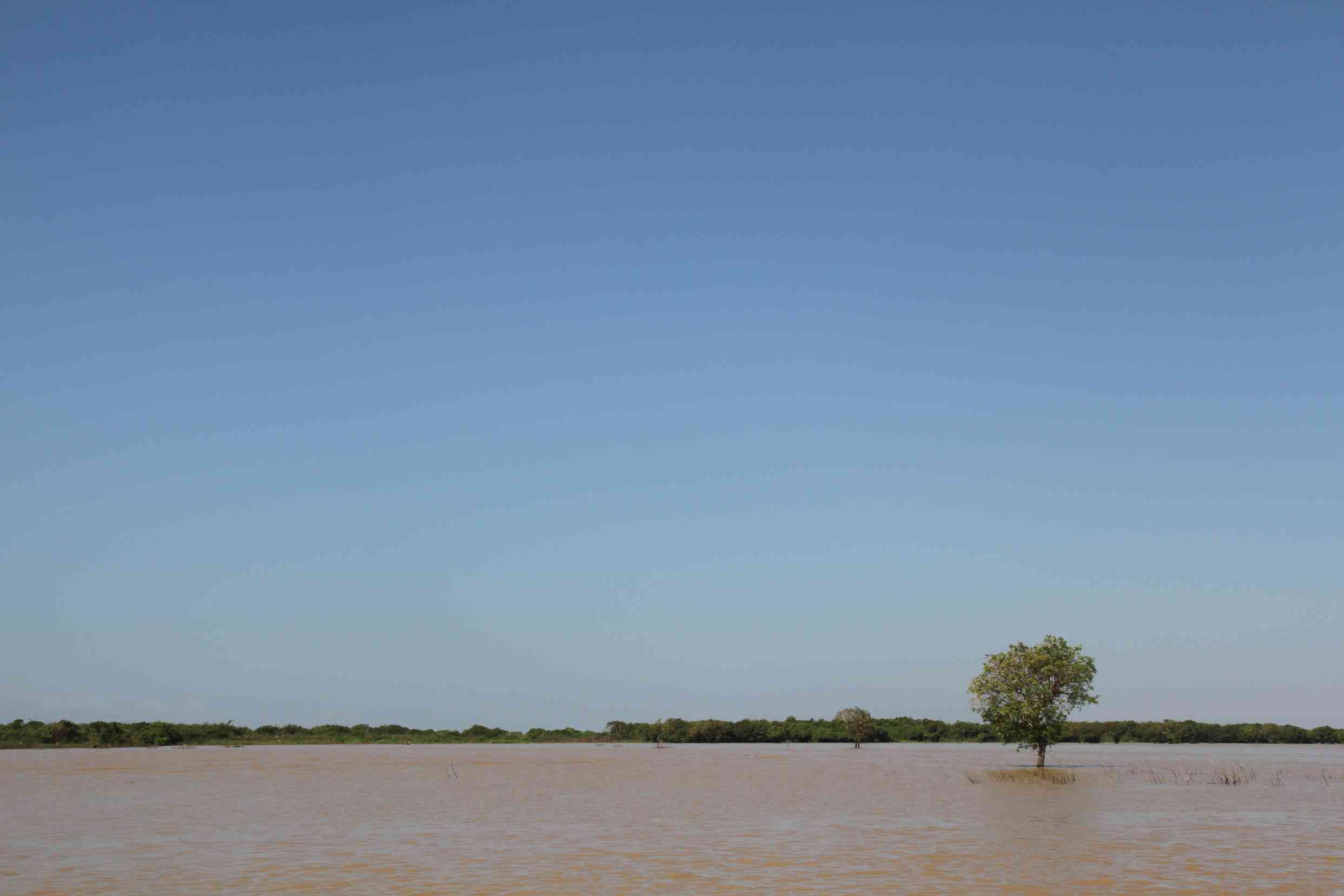 Blick über den Kanal zum Tonle Sap See mit den dortigen im Wasser wachsenden Bäumen