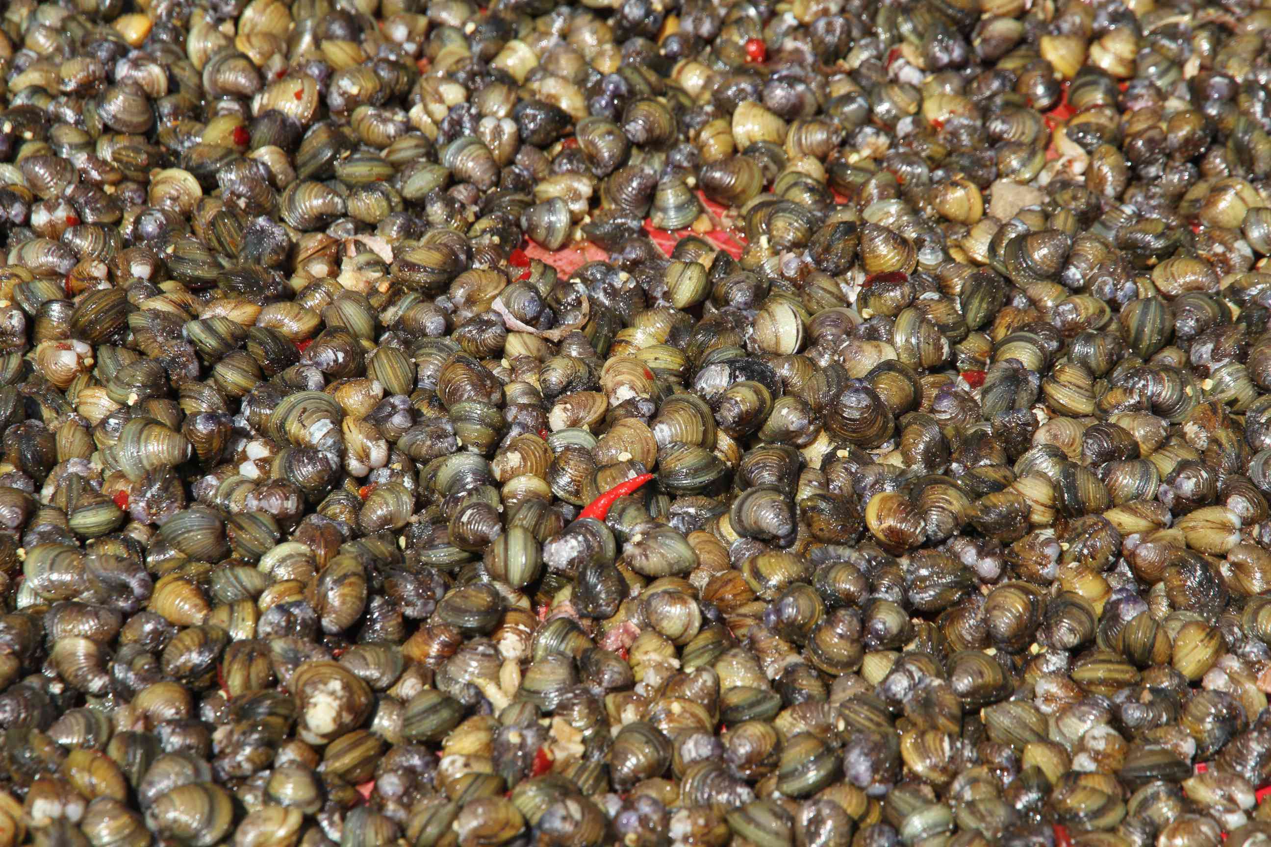 Eingelegte Muscheln mit Chillischoten