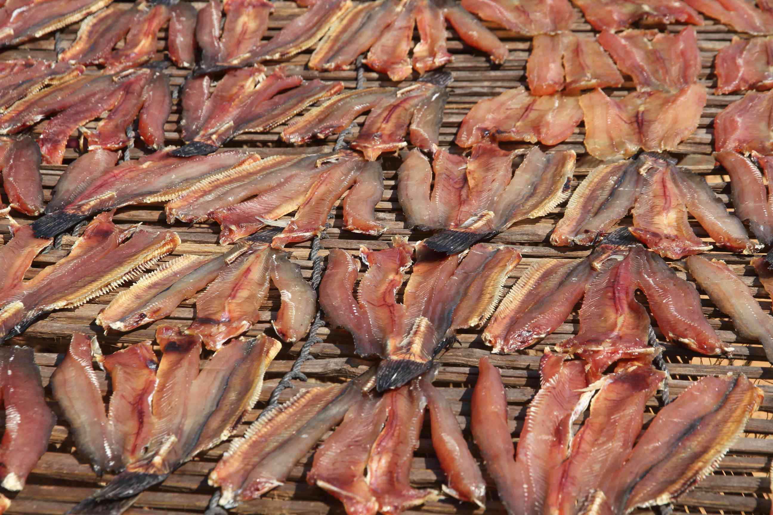 Rote Fisch Filets sind zum Trocknen in der Sonne aufgelegt