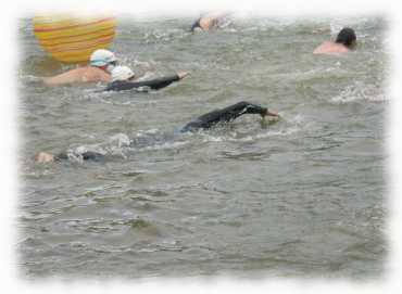 Alle Triathleten beim Schwimmstart